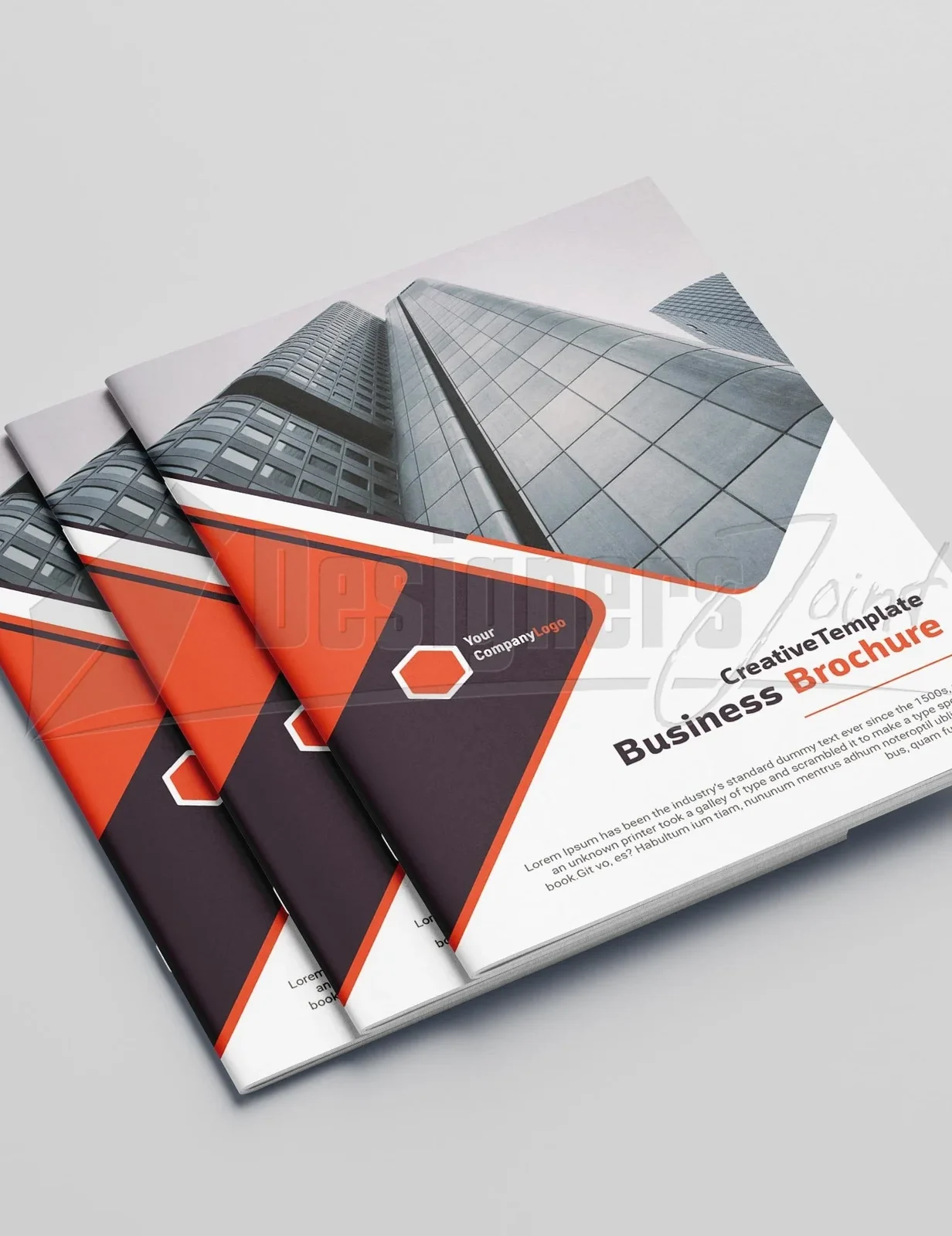8 Page Brochure Company Profile Template in Kenya