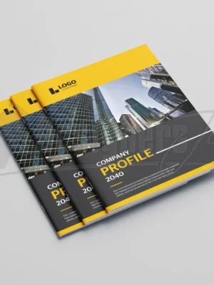 16 Page InDesign-Company Profile Template in Kenya