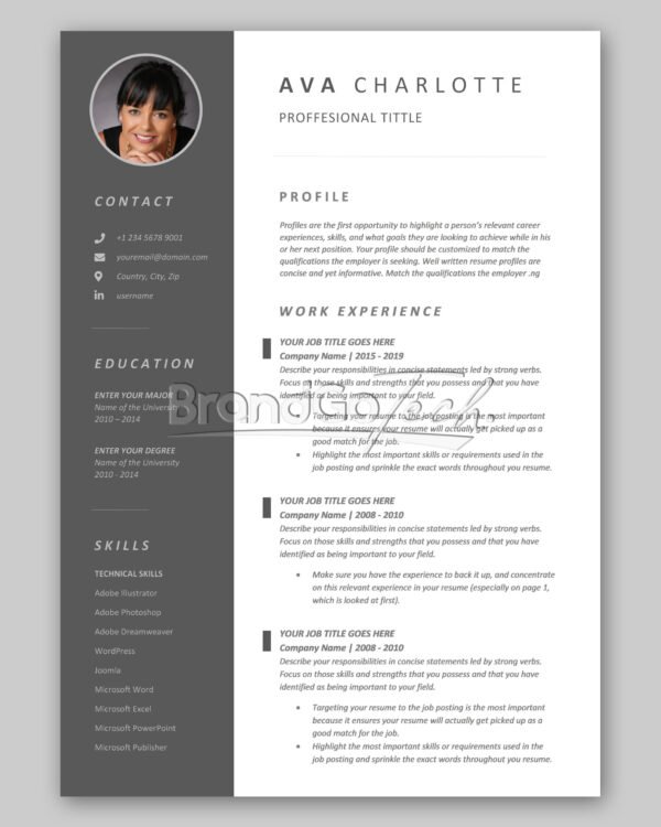 Professional CV Template For Kenya Job Market