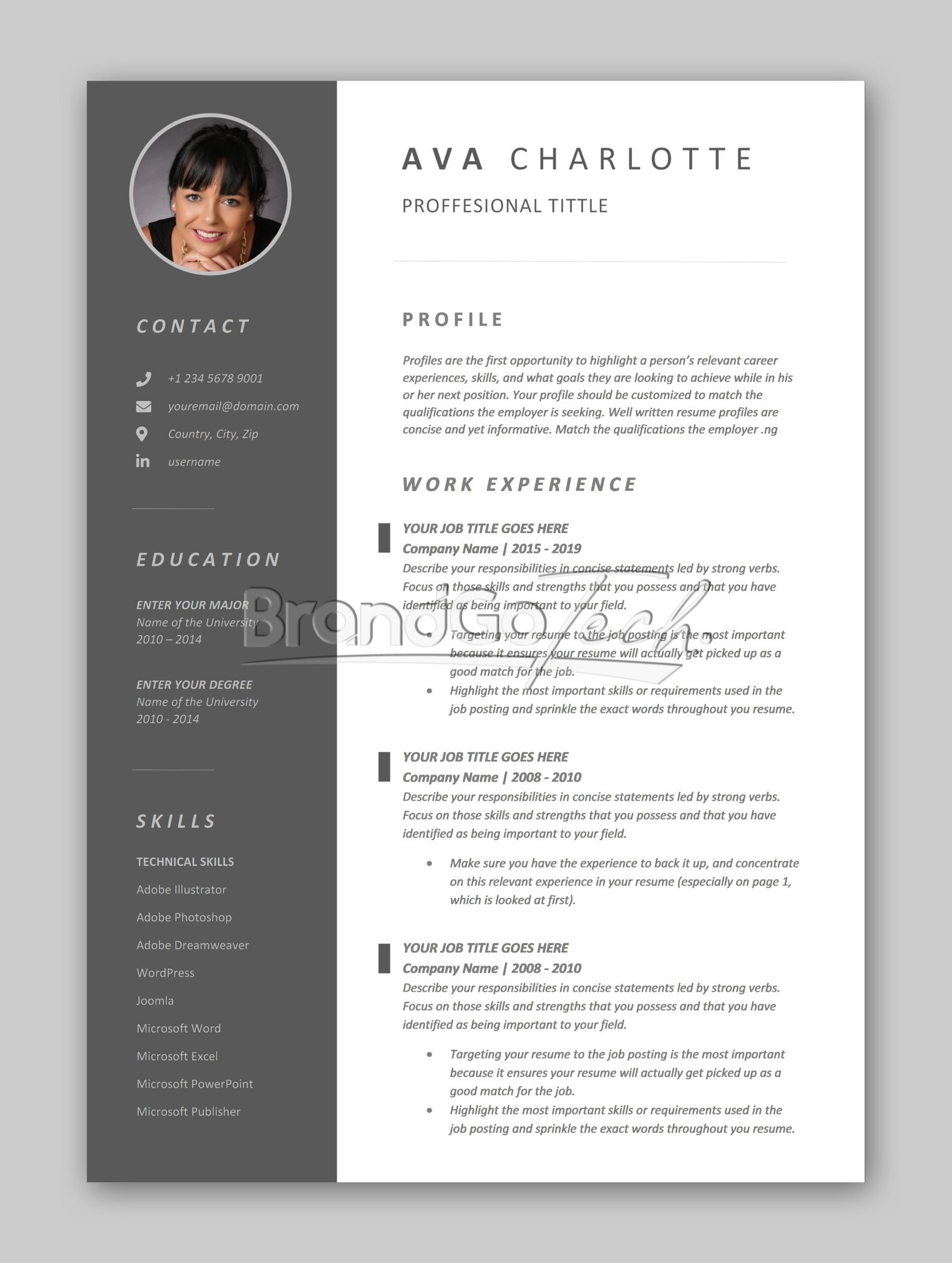 Professional CV Template For Kenya Job Market