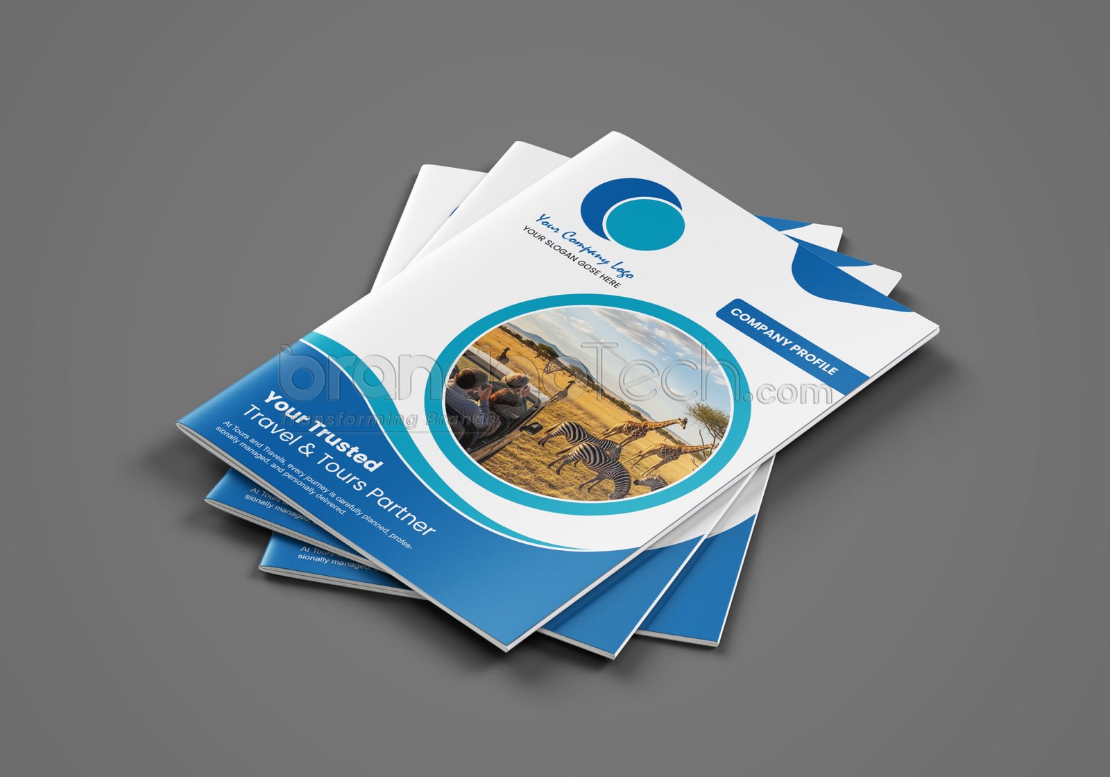 8 Page Tours and Travel Company Profile Template