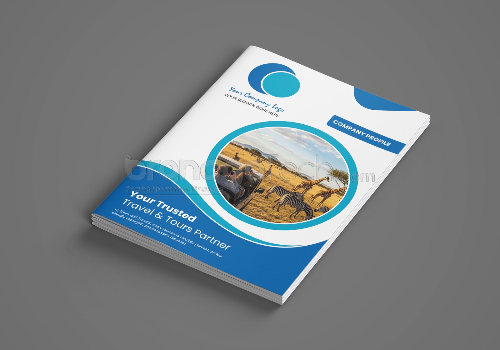 8 Page Tours and Travel Company Profile Template