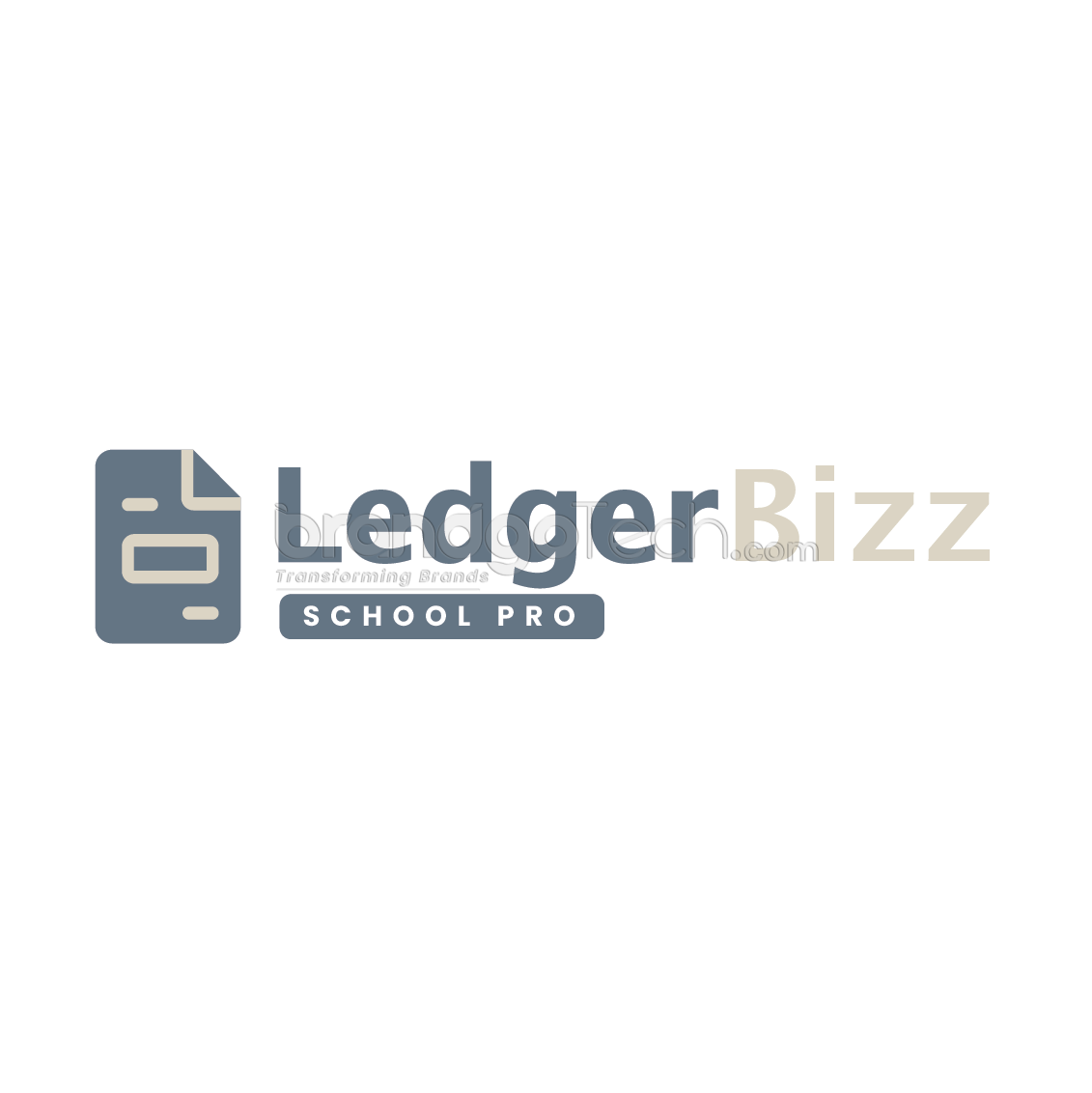 Ledgerbizz School