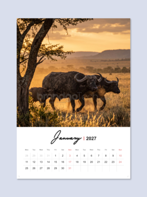 2027 Wall Calendar Template Linear Stream Layout1